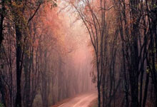 开云APP-蒙特雷球员团队氛围良好，备战世俱杯信心满满