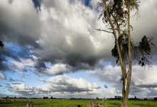 开云官网-钢铁意志淬火重生！篮网王牌撕裂伤病阴霾再证王者本色