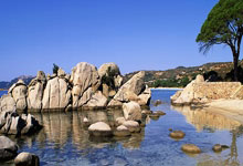 开云体育官网-天津队的胜利之路