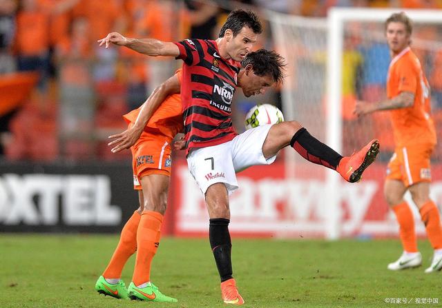 瑞士队逼平保加利亚,成功保持不败状态 瑞士队逼平保加利亚,成功保持不败状态