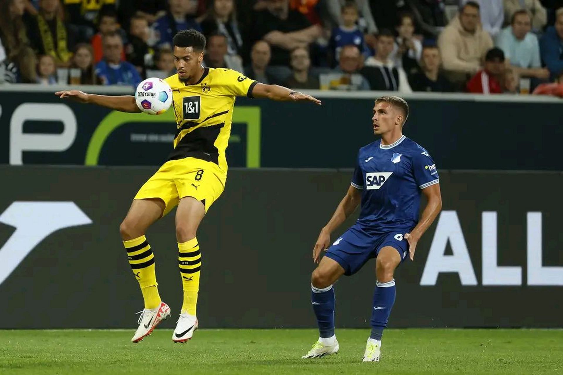 霍芬海姆与多特蒙德战绩不佳,面临危机 霍芬海姆与多特蒙德战绩不佳,面临危机