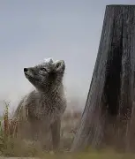 卢加诺斯瓦尔巴多西创造历史,莱切尔鹅湾城迎来新生 卢加诺斯瓦尔巴多西创造历史,莱切尔鹅湾城迎来新生