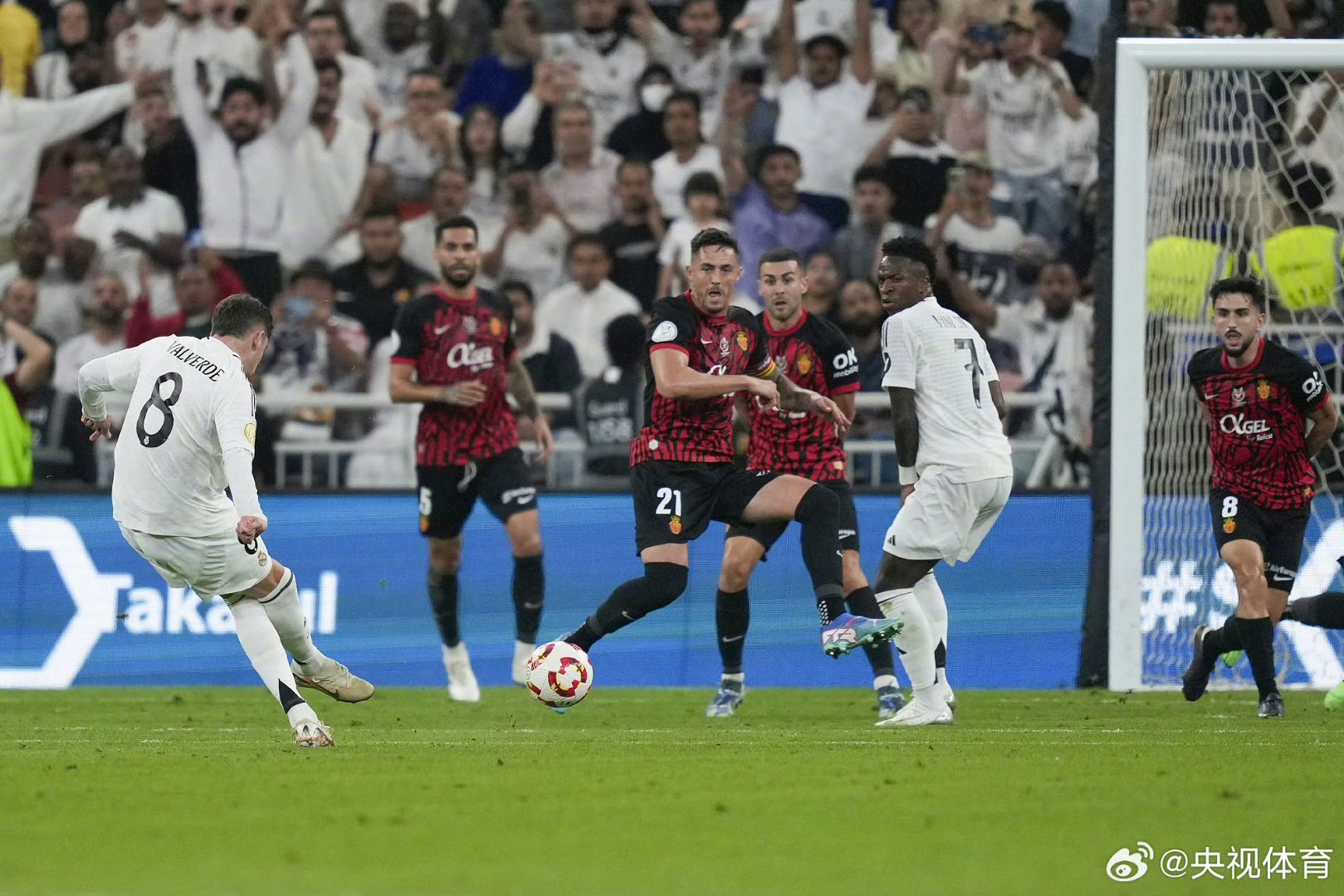 西班牙队备战欧锦赛,冲刺冠军宝座 西班牙队备战欧锦赛,冲刺冠军宝座