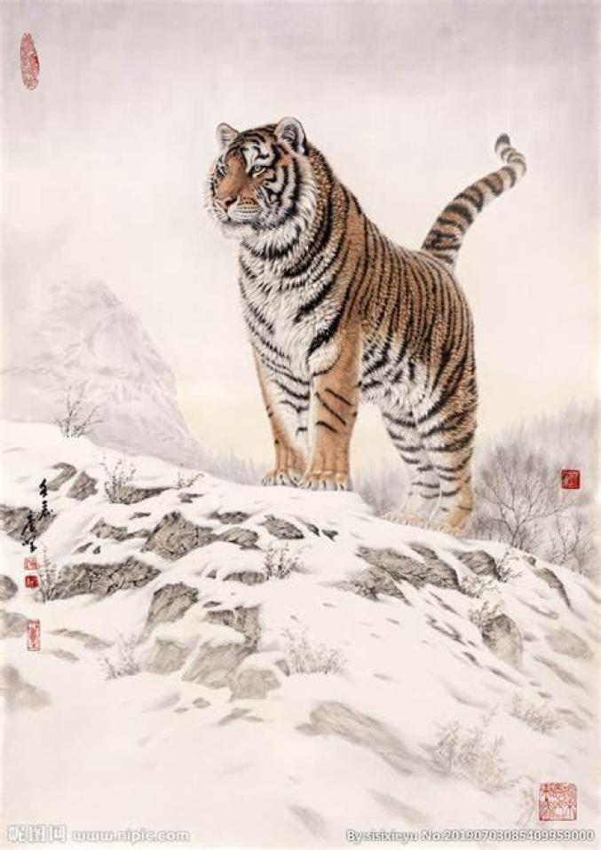 捷克森林猛虎开爪,连斩对手北辰 捷克森林猛虎开爪,连斩对手北辰